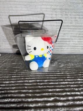 Hello Kitty Plush in Clear Take Out Box